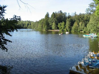 ebnisee